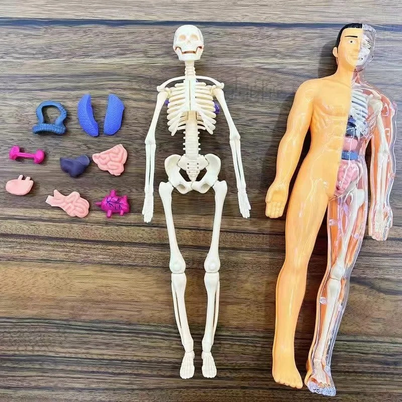 VIXABYTE Little Doctor Halloween Collection — Learn, Dress Up & Play